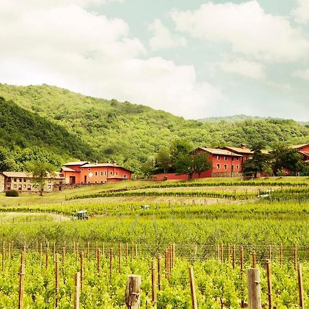 Agriturismo L'Uva E Le Stelle Faedis Kültér fotó