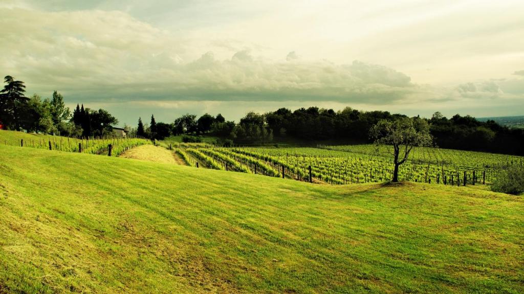 Agriturismo L'Uva E Le Stelle Faedis Kültér fotó