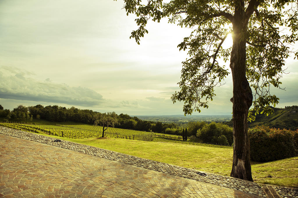 Agriturismo L'Uva E Le Stelle Faedis Kültér fotó