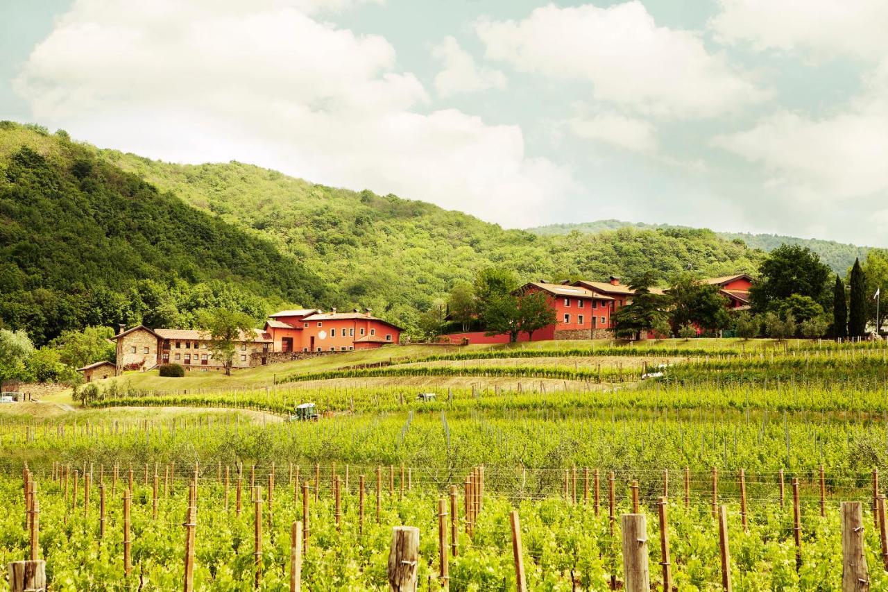 Agriturismo L'Uva E Le Stelle Faedis Kültér fotó