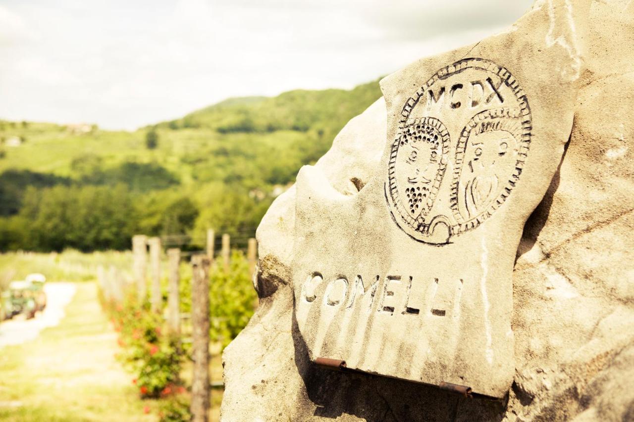 Agriturismo L'Uva E Le Stelle Faedis Kültér fotó