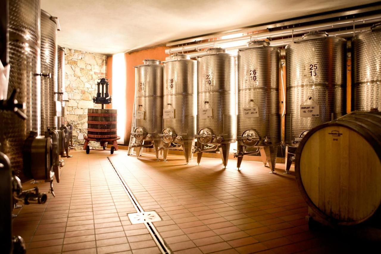 Agriturismo L'Uva E Le Stelle Faedis Kültér fotó